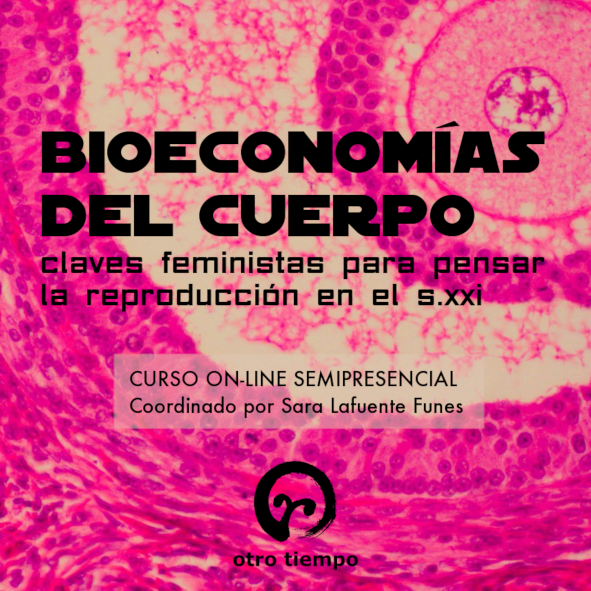 Bioeconomías del cuerpo: claves feministas para pensar la reproducción en el siglo XXI