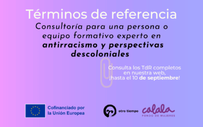 Consultoría Radix: persona o equipo experto en antirracismo y perspectivas descoloniales para organizaciones.