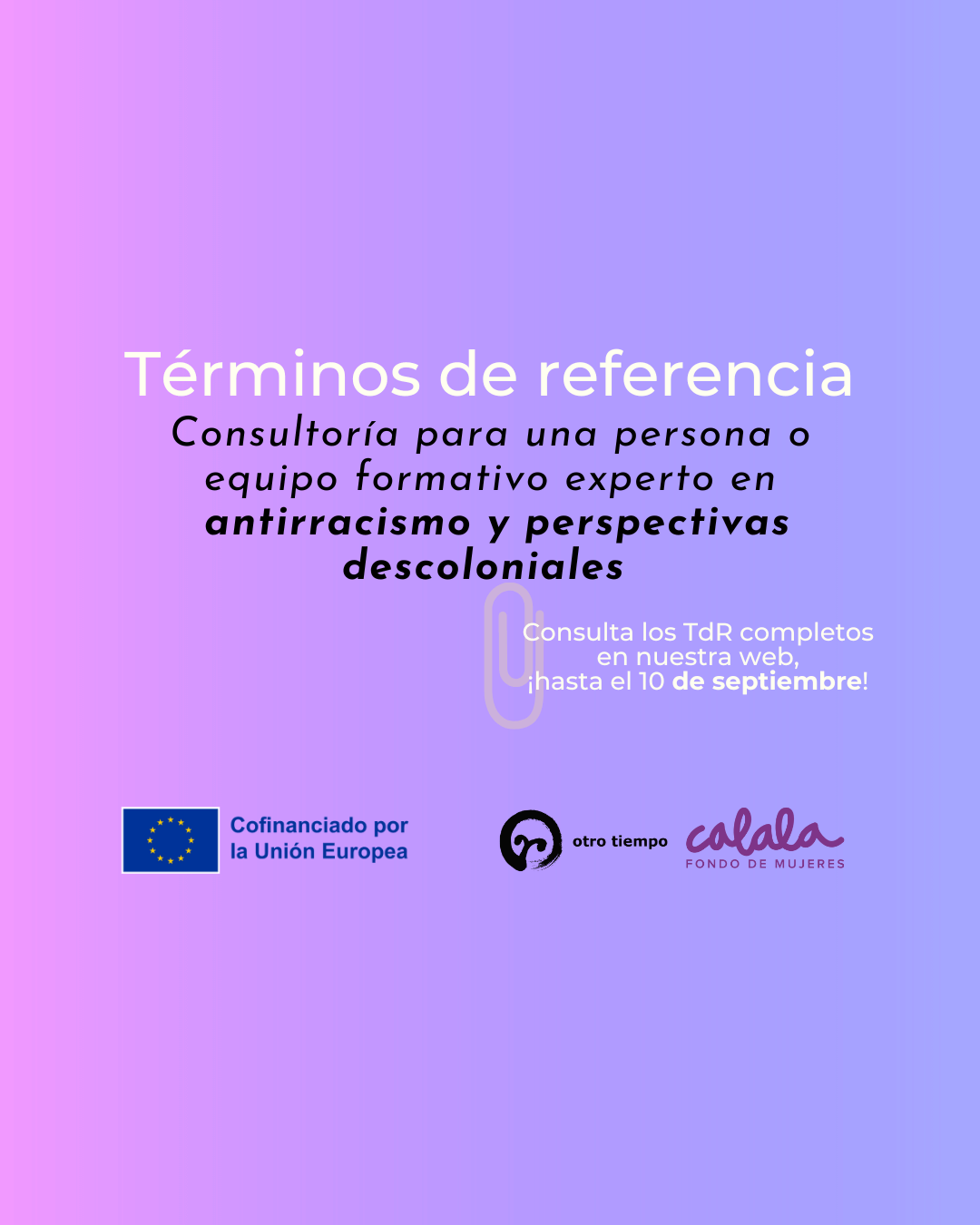TdR web escuela tiny