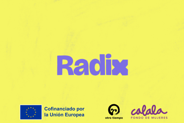 Ir a Consultoría Radix: persona o equipo experto en antirracismo y perspectivas descoloniales para organizaciones.